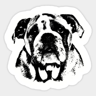 Cute English Bulldog Puppy Sticker